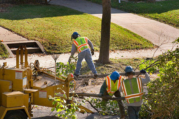 Best Tree and Shrub Care  in Hatboro, PA